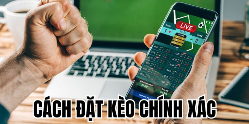 Mẹo chốt cược chính xác qua thống kê chỉ số chuyên môn 2 đội