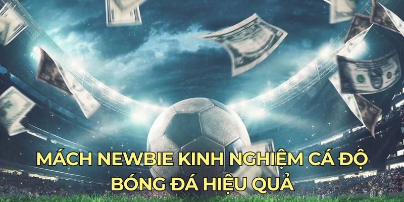 Mách newbie kinh nghiệm cá độ bóng đá hiệu quả