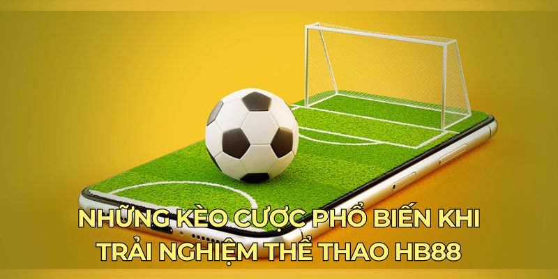 Những kèo cược phổ biến khi trải nghiệm thể thao HB88